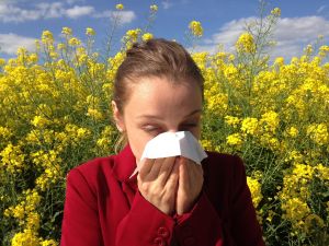 Ősszel és télen is szenvedünk az allergiától