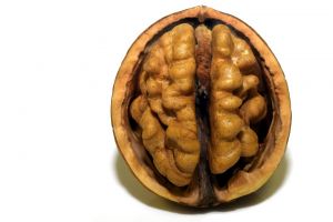 Létezhet egy „másik” agy a testünkön belül